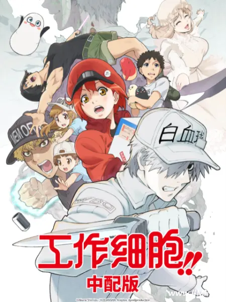 动画片 工作细胞 第二季(中配版)-六美分.NET