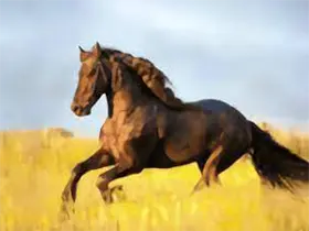 YourTV 你的电视TV v2.3.4 清爽版｜电视播放工具-六美分.NET