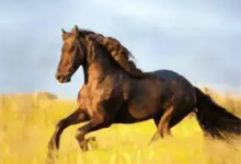 YourTV 你的电视TV v2.0.5 清爽版-六美分.NET