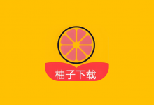 柚子下载 v1.5.7 高级版｜全能无广告下载神器-六美分.NET