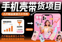 手机壳带货项目实操指南｜低粉账号卖出几十万件-六美分.NET