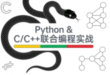 [C++/C语言/Python/编程] Python & C/C++联合编程实战课程 [3.9G]-六美分.NET